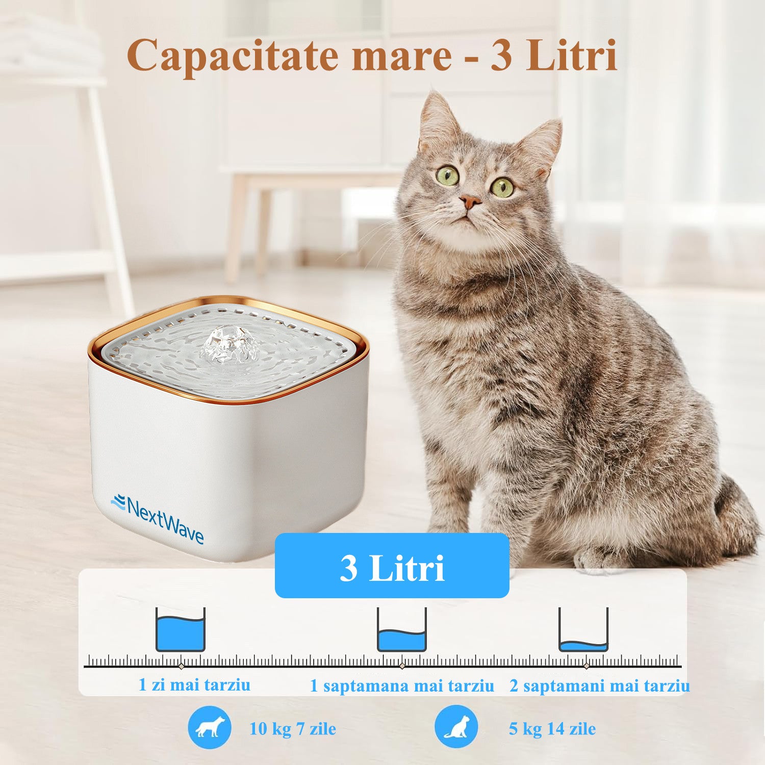 Dispenser apa automata fantana pentru pisici si caini NextWave®, cu purificare si filtrare prin carbune activ – imaginea 3
