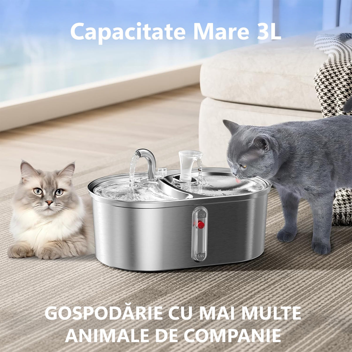 Dispenser apa automat cu Bol pentru mancare NextWave®, 2-1 tip fantana pentru pisici si caini, cu purificare si filtrare – imaginea 3