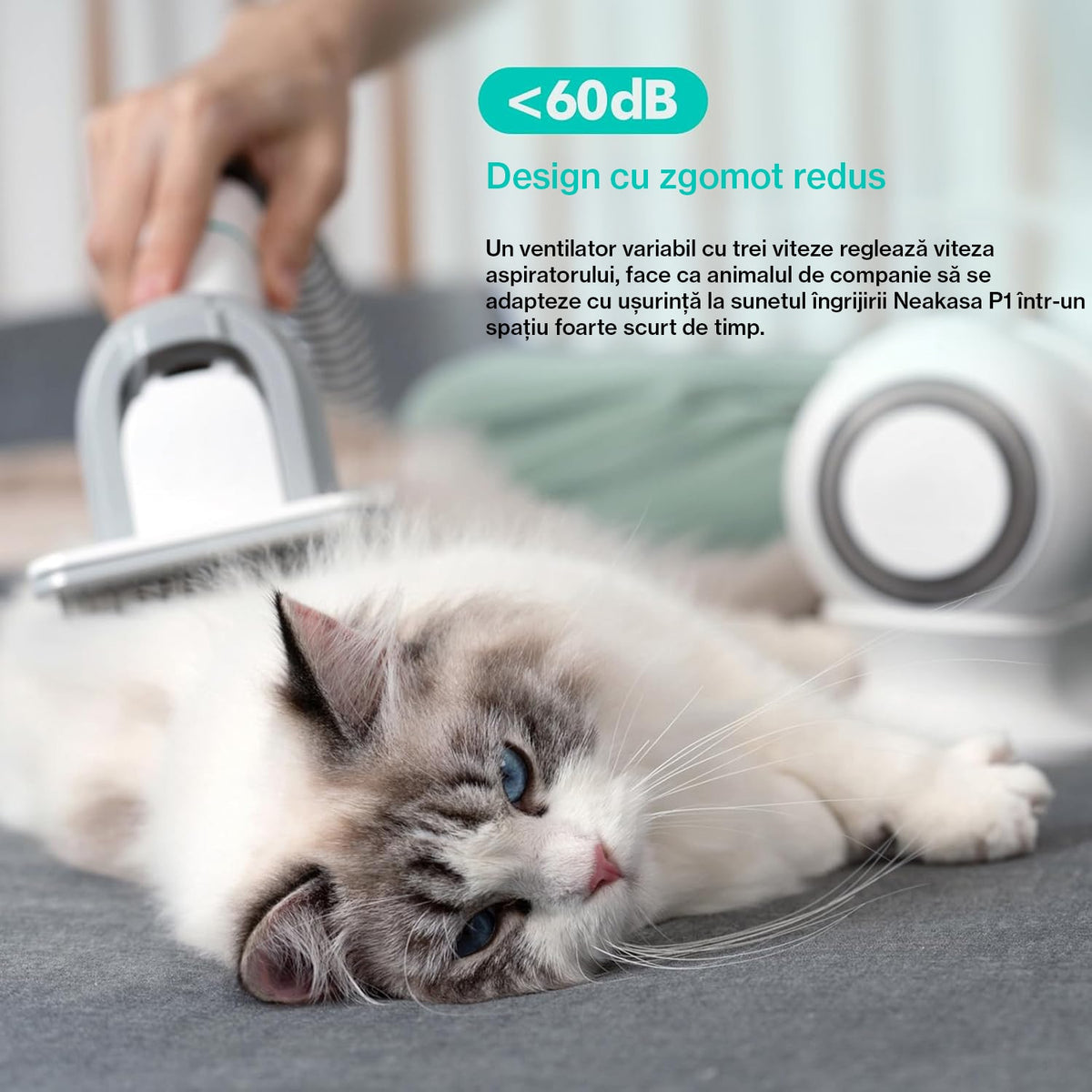 Masina De Tuns Animale, Caini, Pisici NextWave®, Aspirator 5 in 1 pentru toaletarea animalelor de companie si materiale – imaginea 3