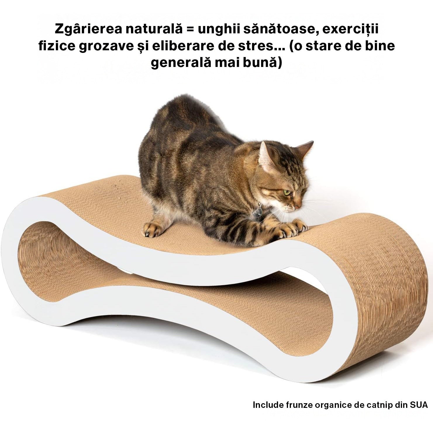 Ansamblu de joaca pentru pisici NextWave®, zgarietor pentru pisici, loc de relaxare, model in forma ergonomica de infinit – imaginea 3