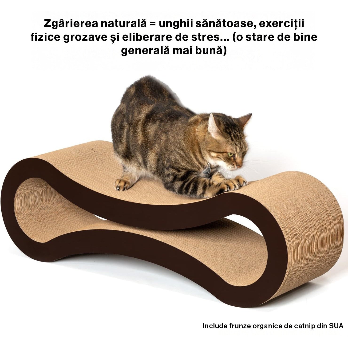 Ansamblu de joaca pentru pisici NextWave®, zgarietor pentru pisici, loc de relaxare, model in forma ergonomica de infinit – imaginea 3