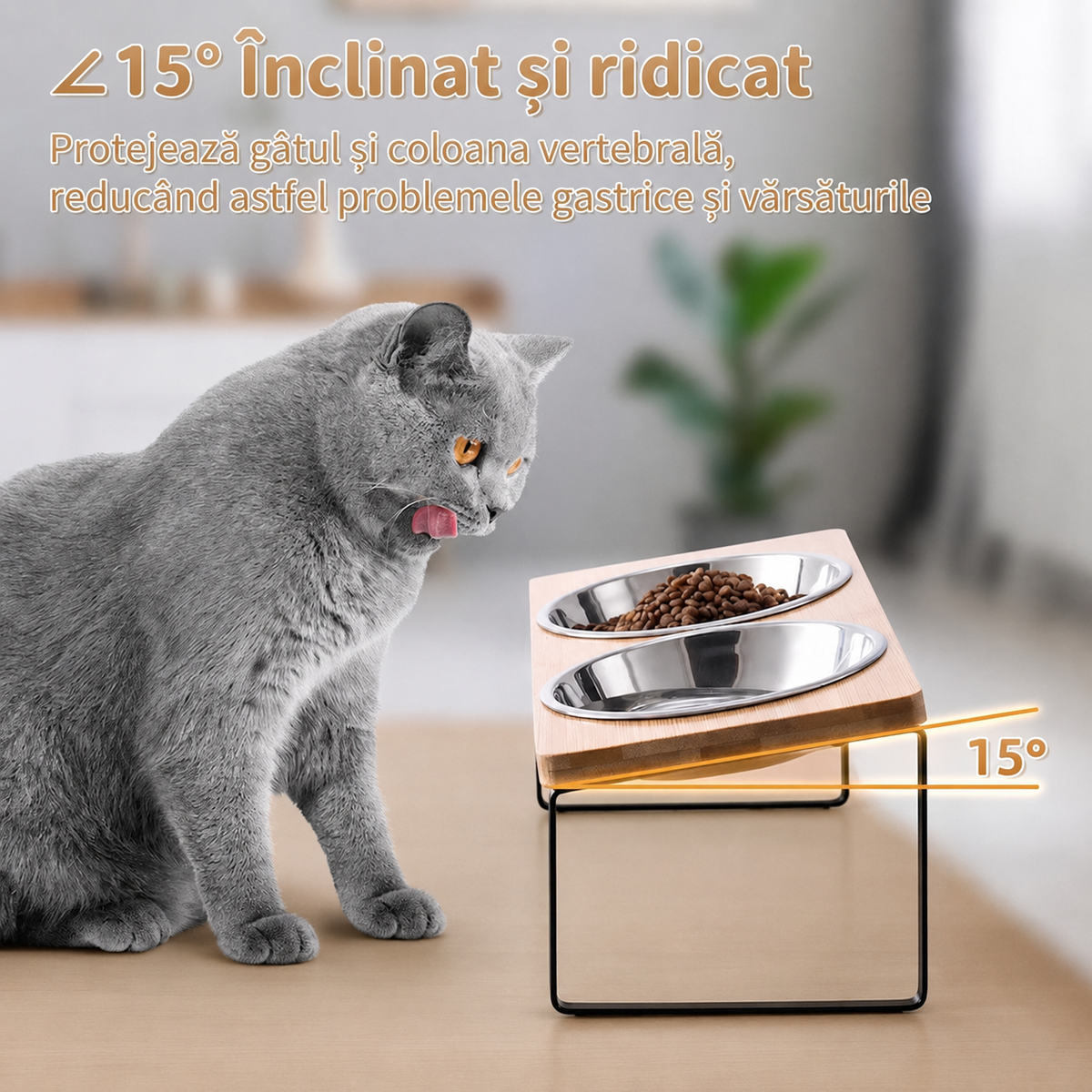 Boluri inaltate pentru pisici modernizate, suport inclinat la 15° anti-varsaturi pentru hrana si apa, 2 boluri din otel – imaginea 4