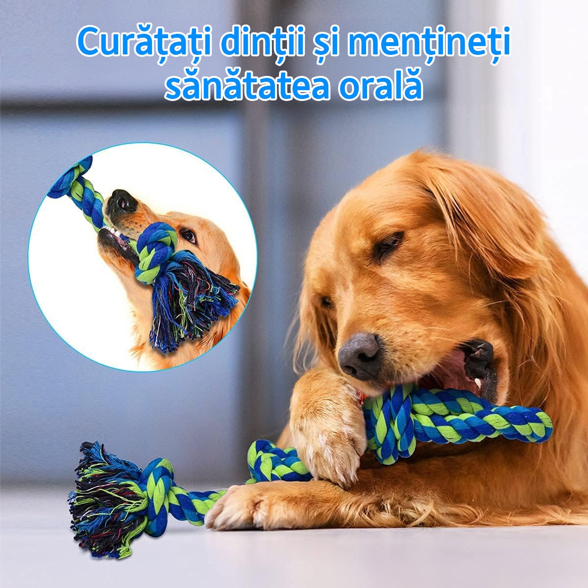 Set 2 franghii pentru caini NextWave®️, Jucarii din franghie pentru caini de talie mare si medie, special concepute pentru – imaginea 4