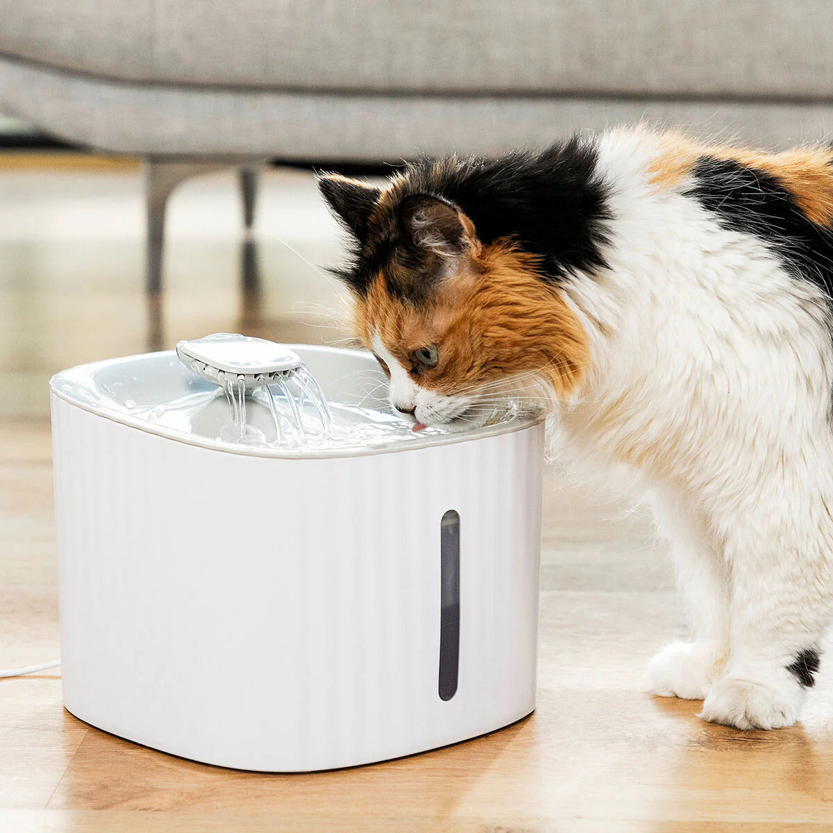 Dispenser apa automat NextWave®, tip fantana pentru pisici si caini, cu purificare si filtrare prin carbune activ cu 2 – imaginea 4