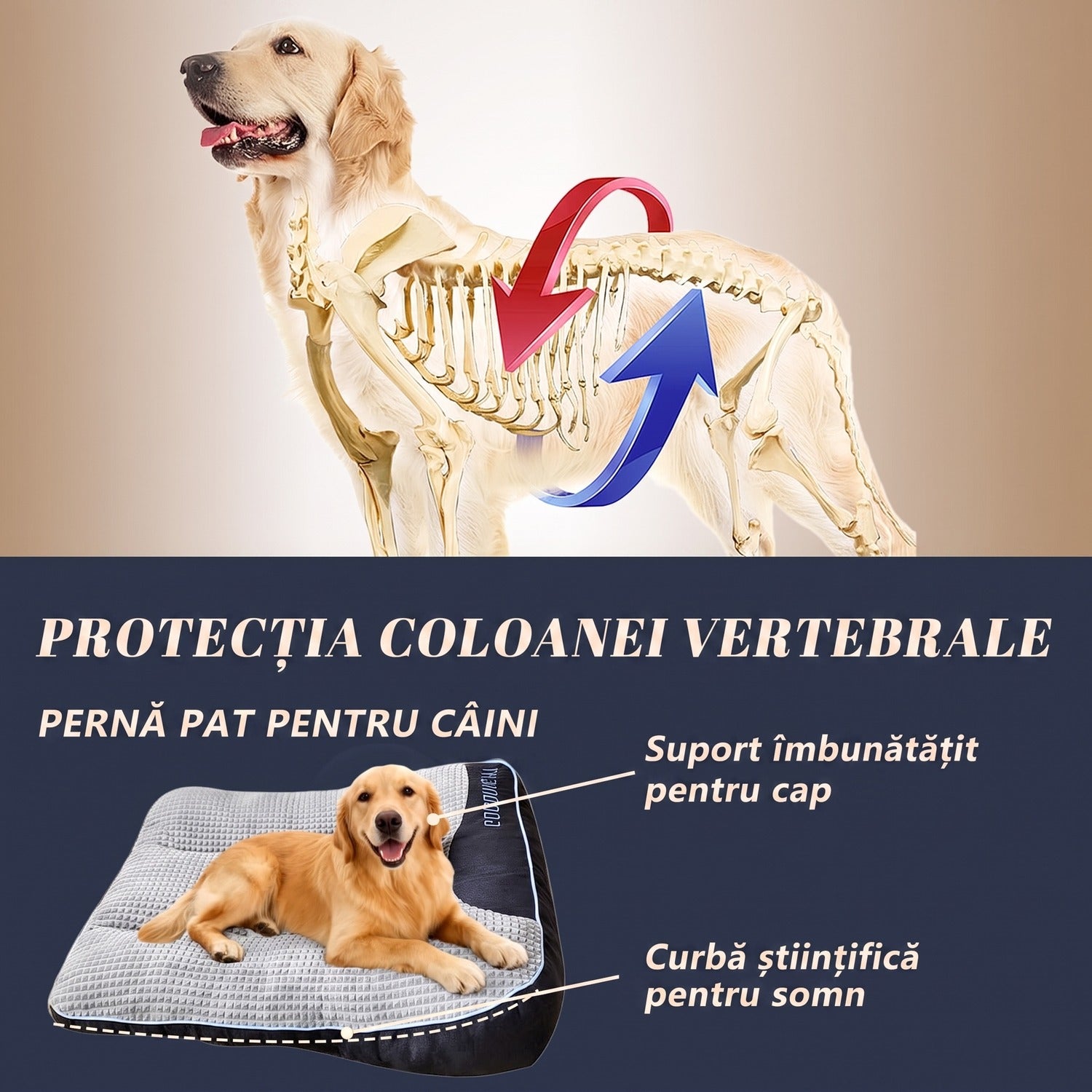 Pat ortopedic pentru caini de talie medie, dreptunghiular 32"x25"x7", canapea din plus moale, calda si durabila pentru – imaginea 4