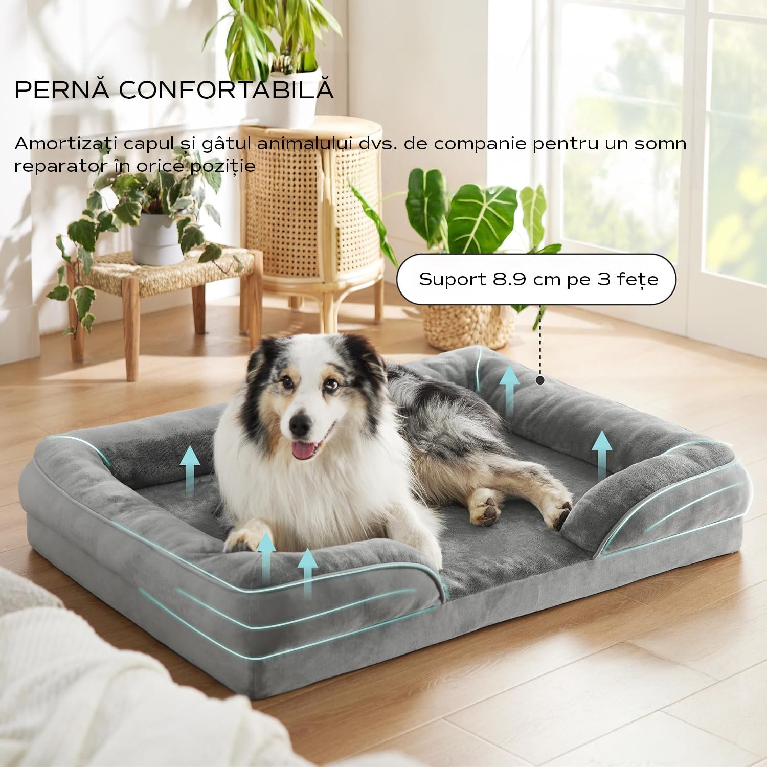 Pat Ortopedic Tip Canapea pentru Caini, Ultra Confortabile pentru Caini de Talie Foarte Mare, Pat Respirabil si Impermeabil – imaginea 4