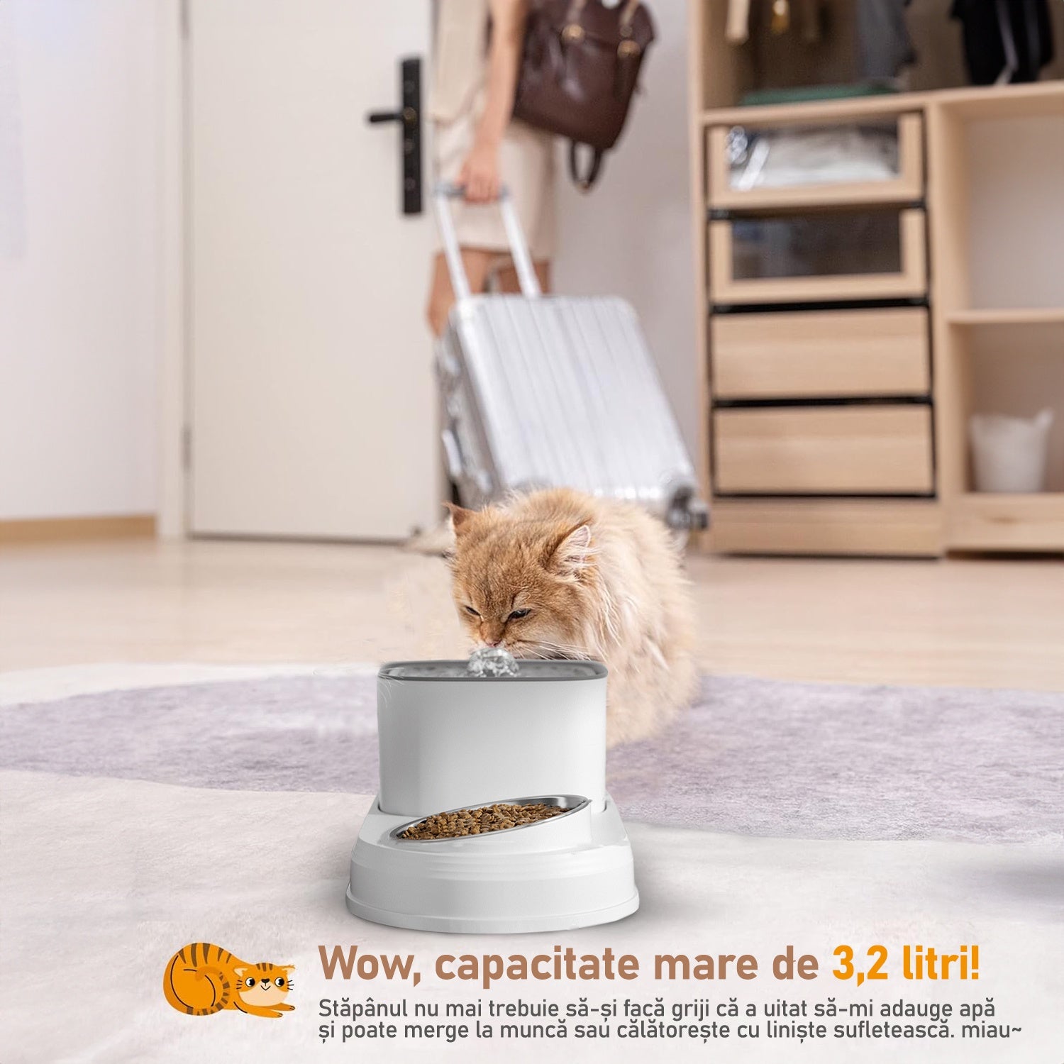 Dispenser apa automat cu Bol pentru mancare NextWave®, 2-1 tip fantana pentru pisici si caini, cu purificare si filtrare – imaginea 5