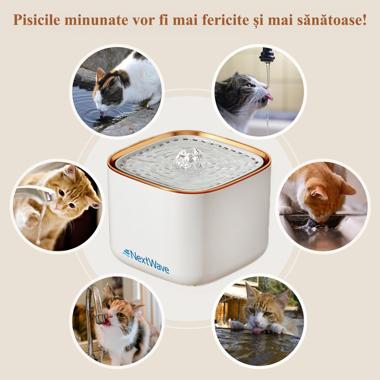 Dispenser apa automata fantana pentru pisici si caini NextWave®, cu purificare si filtrare prin carbune activ – imaginea 5