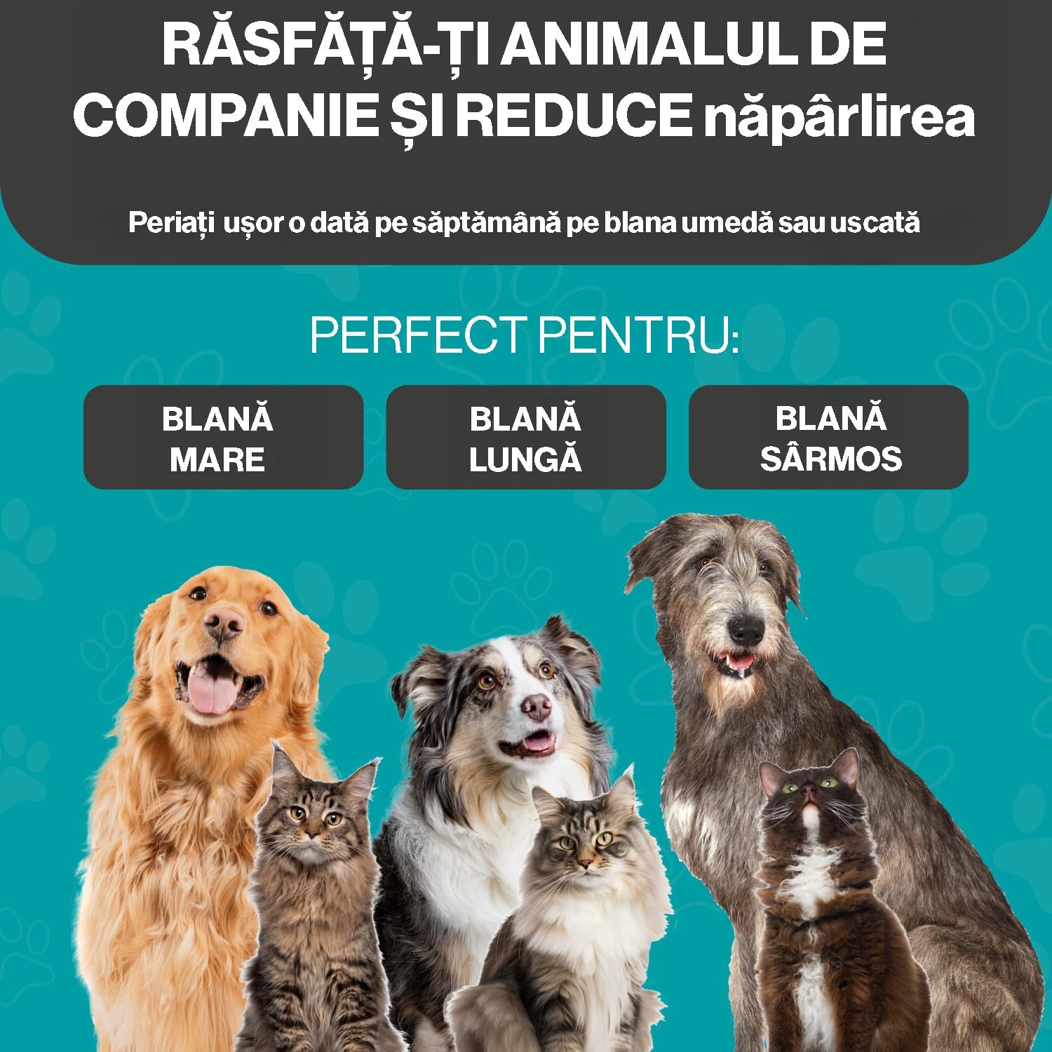 Perie profesionala NextWave® dubla pentru caini si pisici – reduce naparlirea cu pana la 95%, descurcare noduri si subtiere – imaginea 6