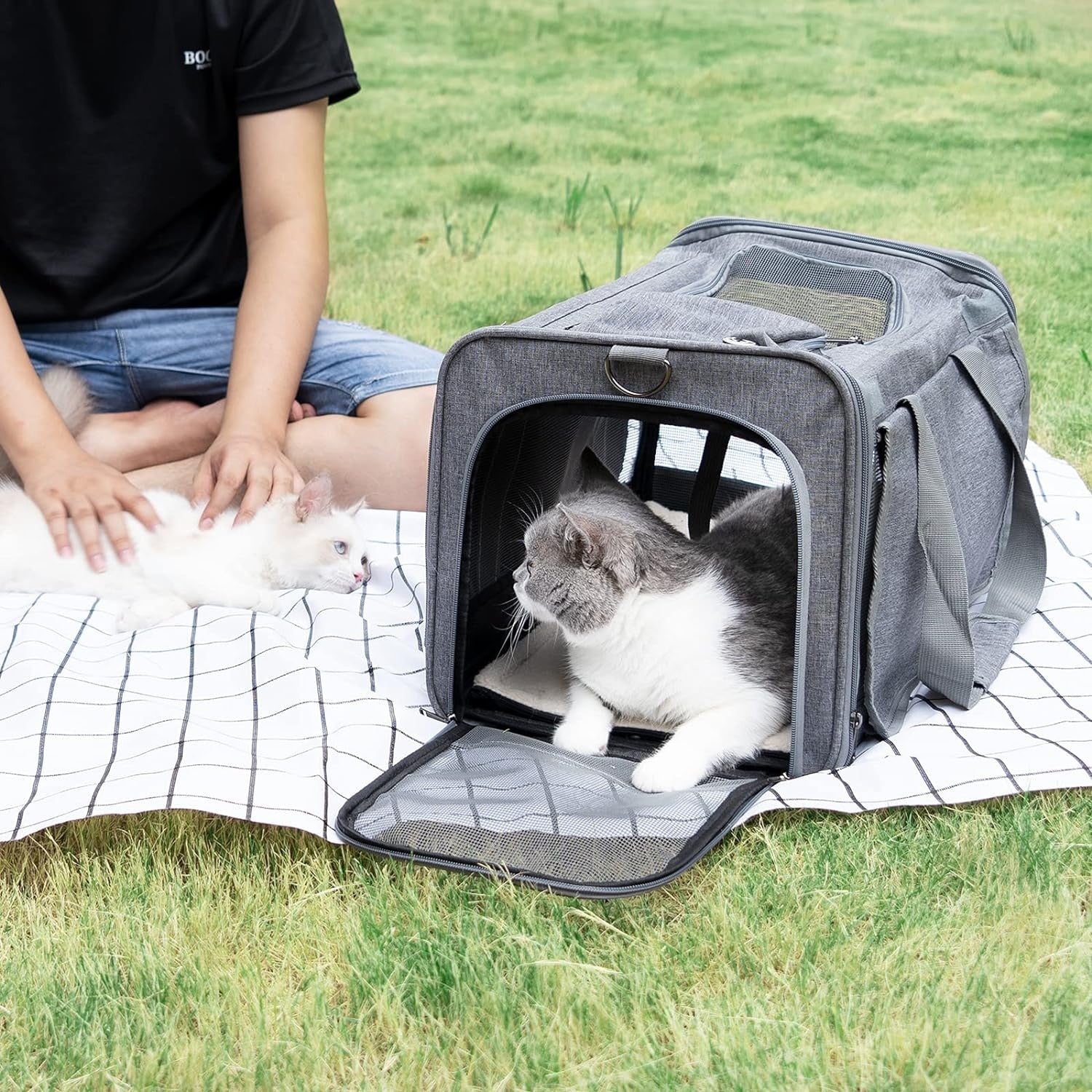 Geanta pentru transport animale mici NextWave®, pisica, caine, iepure, din panza, 46x30x30, Baza rezistenta cu covoras, Usor – imaginea 6