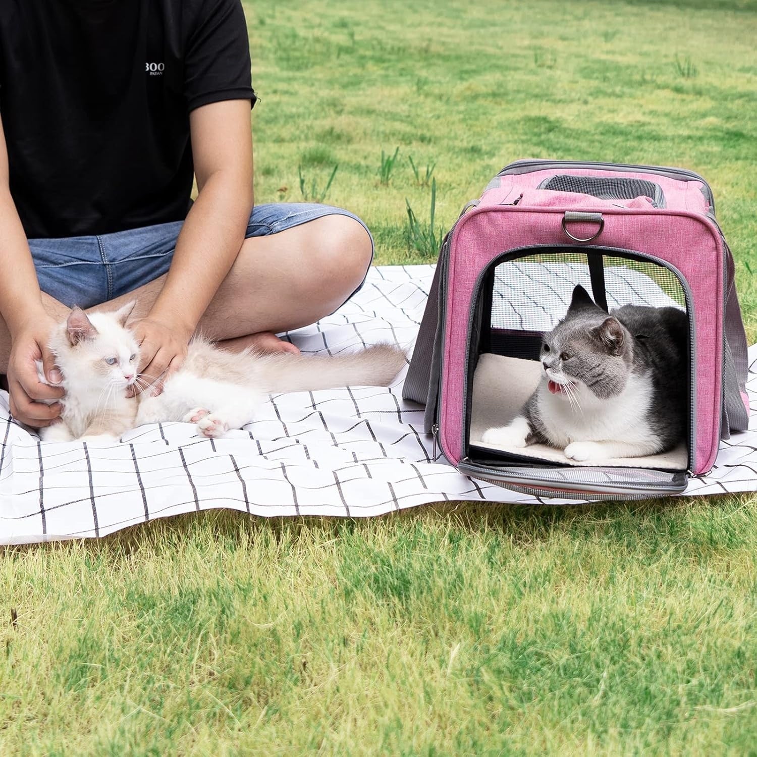 Geanta pentru transport animale mici NextWave®, pisica, caine, iepure, din panza, 46x30x30, Baza rezistenta cu covoras, Usor – imaginea 7