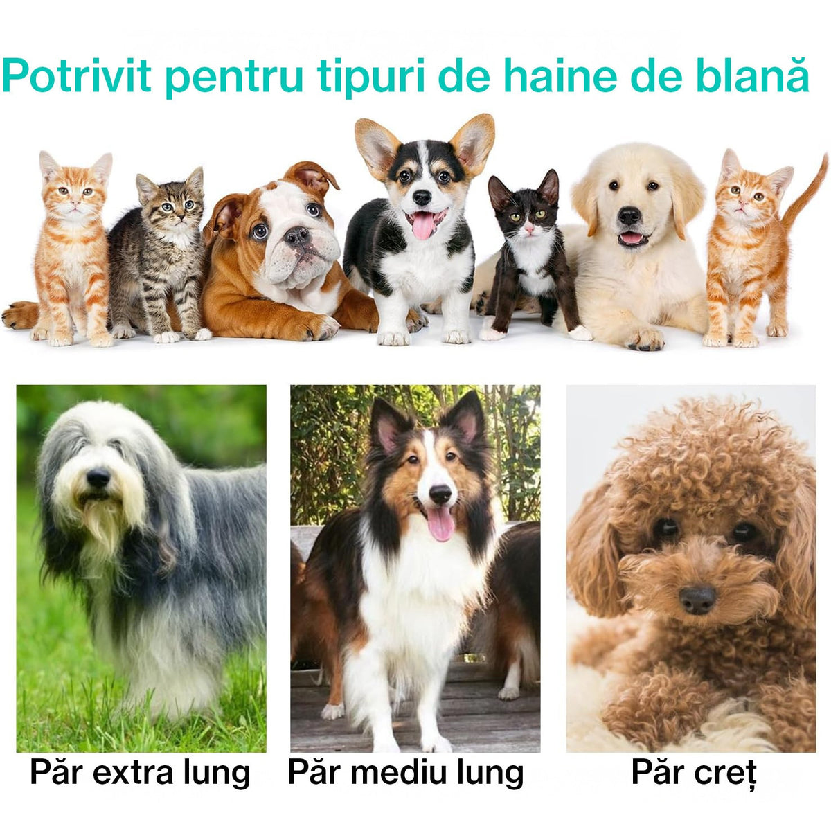 Masina De Tuns Animale, Caini, Pisici NextWave®, Aspirator 5 in 1 pentru toaletarea animalelor de companie si materiale – imaginea 7