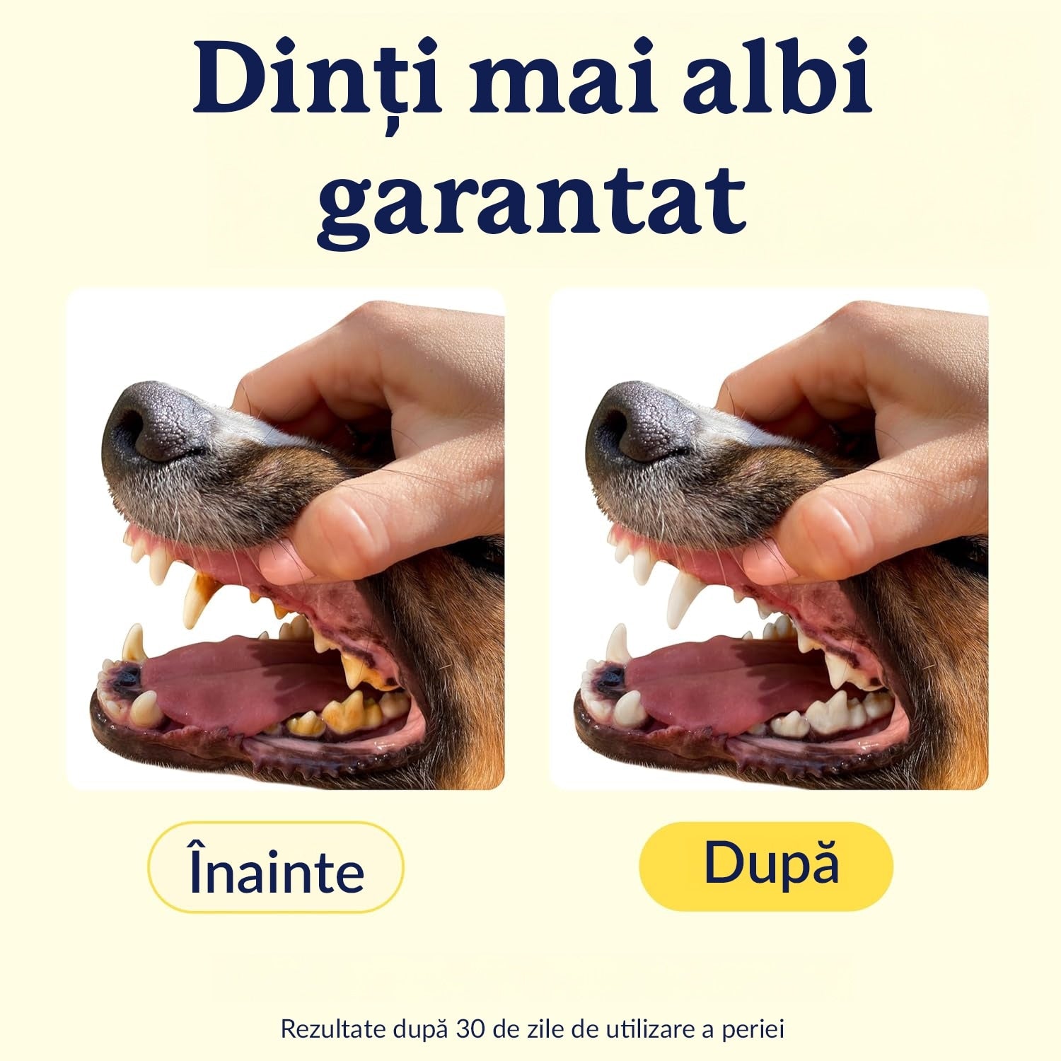 Set 2 periute de dinti pentru animale de companie tip degetar 360°, caine, pisica de dimensiune mare sau mica, silicon moale – imaginea 9