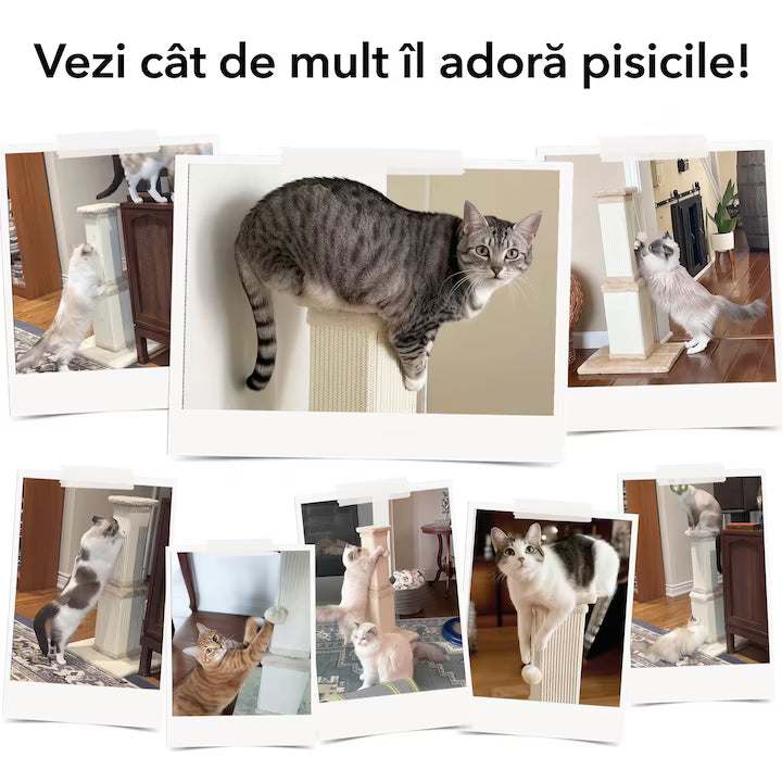 Ansamblu de joaca pentru pisici NextWave®, stalp pentru ascutit ghearelor, bila suspendata, confectionat din sisan natural rezistent la zgarieturi, inaltime mare de 81cm pentru protectia mobilierului, bej