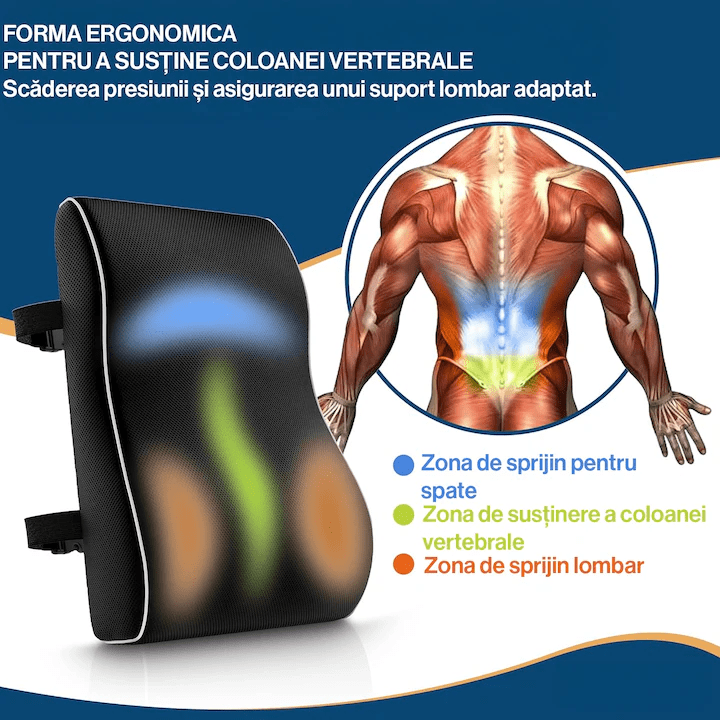 Perna lombara ortopedica NextWave®, din spuma cu memorie, Suport lombar pentru scaun de birou sau masina, Respirabila si Antialunecare, Husa detasabila, Negru, 44 x 40 x 11cm