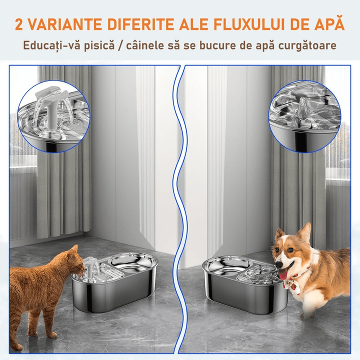 Dispenser apa automat cu Bol pentru mancare NextWave®, 2-1 tip fantana pentru pisici si caini, cu purificare si filtrare prin carbune activ, ultra-silentioasa, otel inoxidabil, capacitate 3L, USB, Argintiu