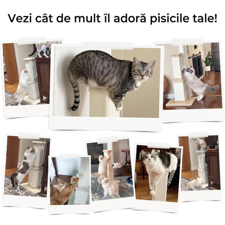 Ansamblu de joaca pentru pisici NextWave®, stalp pentru ascutit ghearelor, bila suspendata, confectionat din sisan natural rezistent la zgarieturi, inaltime mare de 81cm pentru protectia mobilierului, albstru