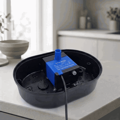 Pompa de apa pentru dispenser apa automat NextWave®, tip fantana pentru caini si pisici, compartibila c — problemă și soluție
