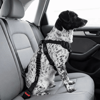 Centura auto NextWave® pentru siguranta cainilor, reglabila 61-79 cm, chinga din nailon rezistent cu cu — problemă și soluție