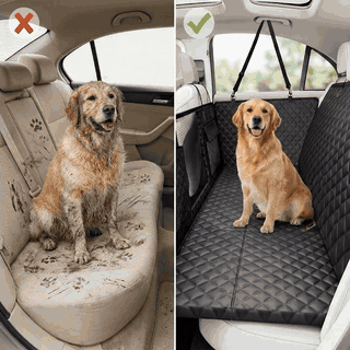 Husa scaune auto, protectie si transport animale extinsa NextWave®️, insertie 3 placi pentru caini, pis — problemă și soluție