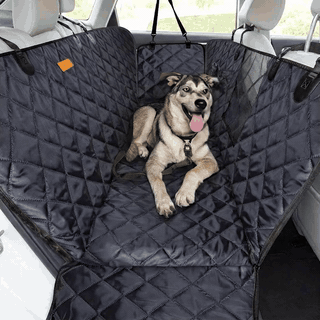 Husa scaune auto protectie si transport animale NextWave®️, Universala, Plasa pentru vizualizare, pentr — problemă și soluție