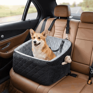 Scaun auto NextWave® pentru caini, detasabil si lavabil, pentru animale de pana la 13,6 kg, cu lesa de — problemă și soluție