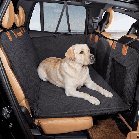 Husa scaune auto protectie si transport animale extinsa NextWave®️, insertie 3 placi pentru caini, pisi — problemă și soluție
