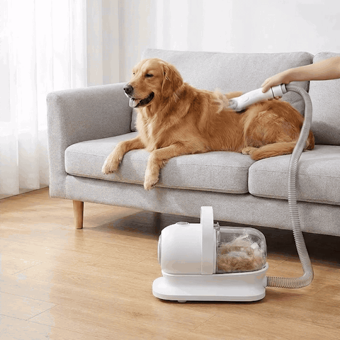 Masina De Tuns Animale, Caini, Pisici NextWave®, Aspirator 5 in 1 pentru toaletarea animalelor de compa — problemă și soluție