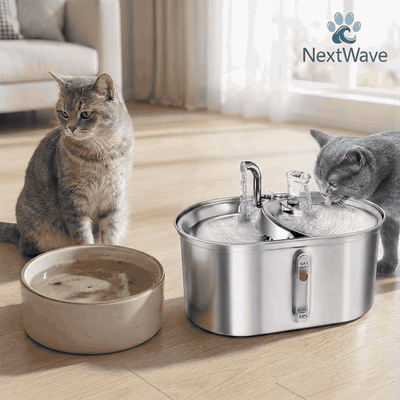 Dispenser apa automat cu Bol pentru mancare NextWave®, 2-1 tip fantana pentru pisici si caini, cu purif — problemă și soluție