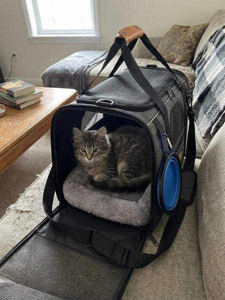 Geanta pentru transport animale mici NextWave®, pisica, caine, iepure, din panza, 45x35x33 cm, Baza rezistenta cu covoras, Us