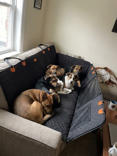 Husa scaune auto protectie si transport animale extinsa NextWave®️, insertie 3 placi pentru caini, pisici de — testimonial 1