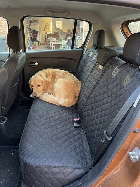 Husa scaune auto protectie si transport animale NextWave®️, universala, taxi, ride sharing, caini, pisici ofera protectie ban