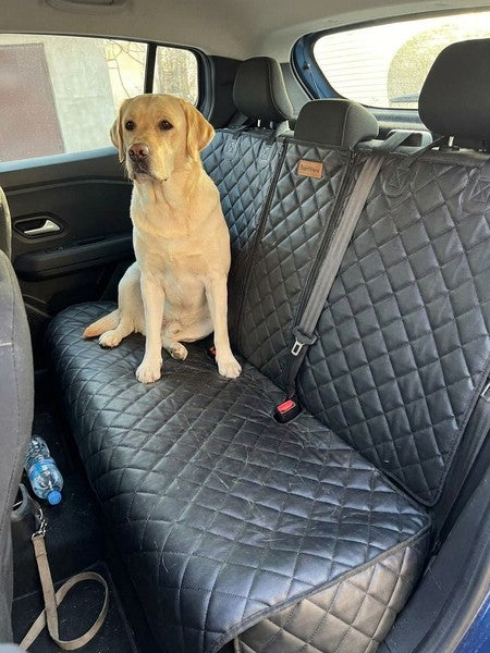 Husa scaune auto protectie si transport animale NextWave®️, universala, taxi, ride sharing, caini, pisici ofe — testimonial 1