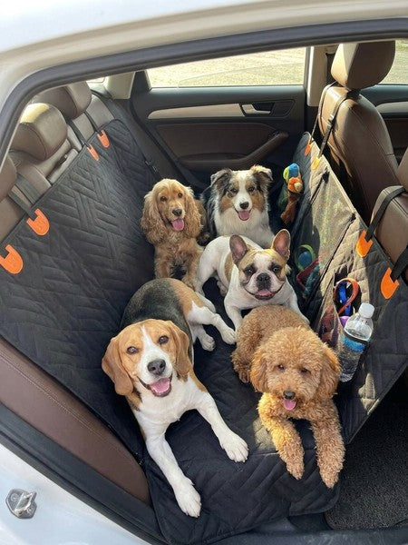 Husa scaune auto protectie si transport animale extinsa NextWave®️, insertie 3 placi pentru caini, pisici de — testimonial 1