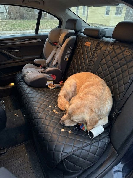 Husa scaune auto protectie si transport animale NextWave®️, universala, taxi, ride sharing, caini, pisici ofe — testimonial 2