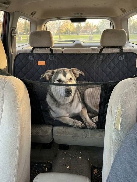 Husa scaune auto protectie si transport animale NextWave®️, Universala, Plasa pentru vizualizare, pentru cain — testimonial 2