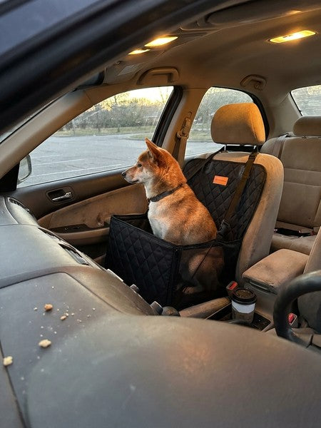 Husa scaun auto protectie si transport animale 2-1 NextWave®️, caini si pisici ofera protectie scaun fata, un — testimonial 2