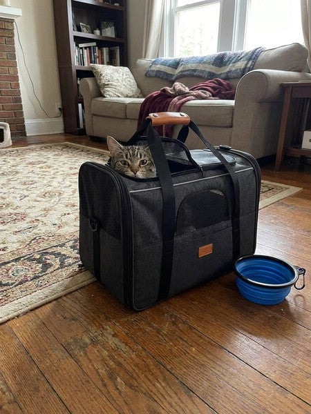 Geanta pentru transport animale mici NextWave®, pisica, caine, iepure, din panza, 45x35x33 cm, Baza rezistenta cu covoras, Us
