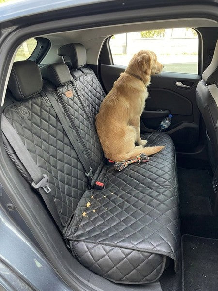Husa scaune auto protectie si transport animale NextWave®️, universala, taxi, ride sharing, caini, pisici ofe — testimonial 3