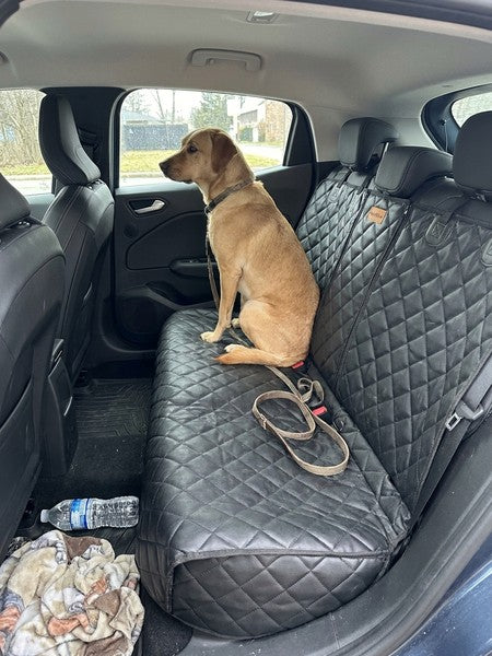 Husa scaune auto protectie si transport animale NextWave®️, universala, taxi, ride sharing, caini, pisici ofe — testimonial 3