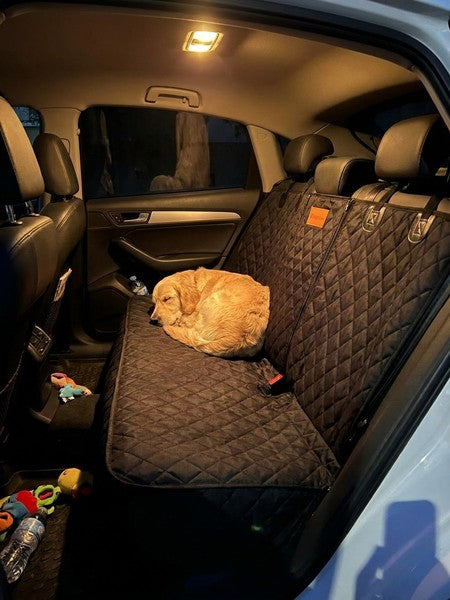 Husa scaune auto pentru transport animale NextWave®️, universala, caini si pisici, taxi, ride sharing, ofera — testimonial 4