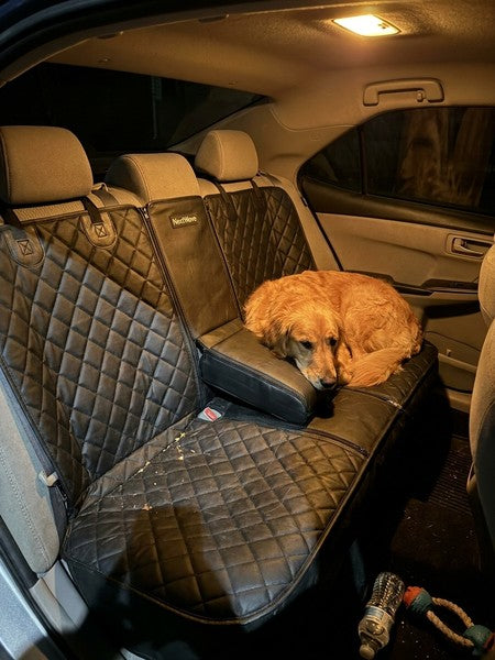 Husa scaune auto protectie si transport animale NextWave®️, universala, taxi, ride sharing, caini, pisici ofe — testimonial 4