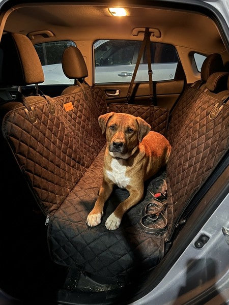 Husa scaune auto protectie si transport animale NextWave®️, Universala, pentru caini si pisici de toate talii — testimonial 4