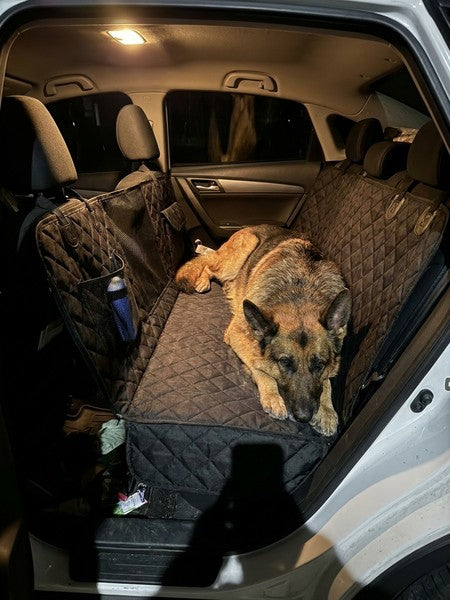 Husa scaune auto, protectie si transport animale extinsa NextWave®️, insertie 3 placi pentru caini, pisici de — testimonial 4