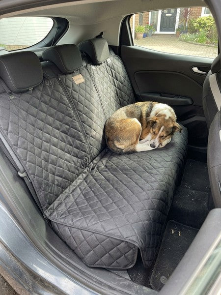 Husa scaune auto protectie si transport animale NextWave®️, universala, taxi, ride sharing, caini, pisici ofera protectie ban