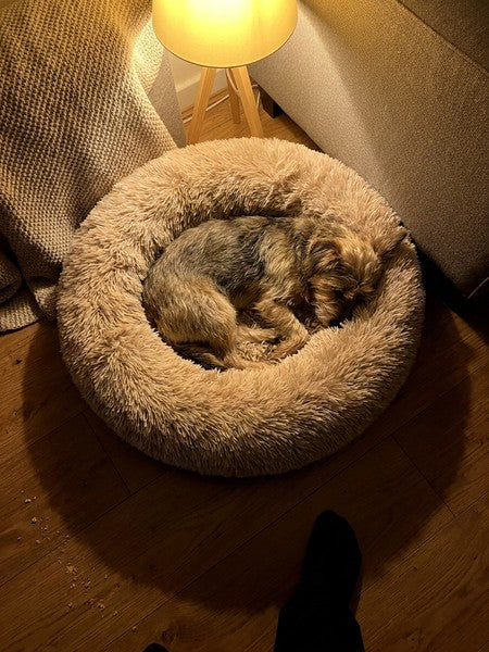 Pat Pentru Caini Sau Pisici NextWave®, pentru animale de companie, Rotund, Antiderapant, Confortabil Si Usor — testimonial 4