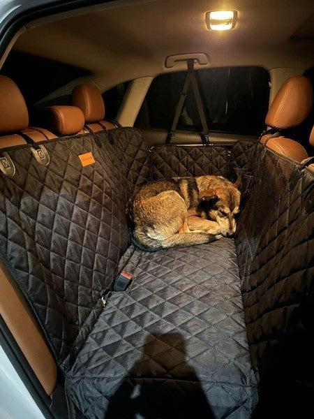 Husa scaune auto protectie si transport animale NextWave®️, Universala, Plasa pentru vizualizare, pentru cain — testimonial 4