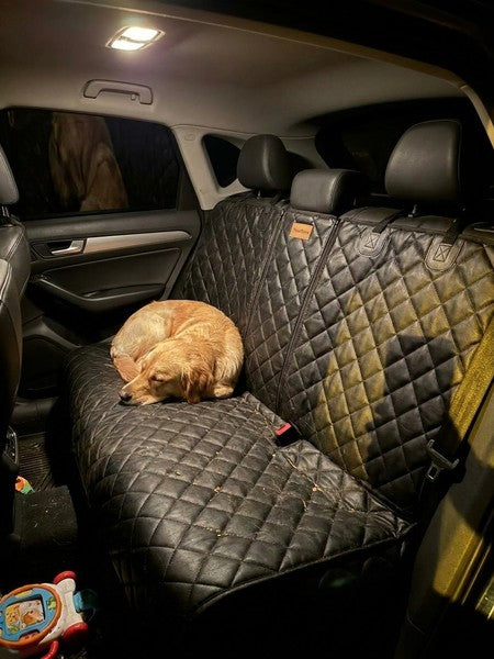 Husa scaune auto protectie si transport animale NextWave®️, universala, taxi, ride sharing, caini, pisici ofe — testimonial 4